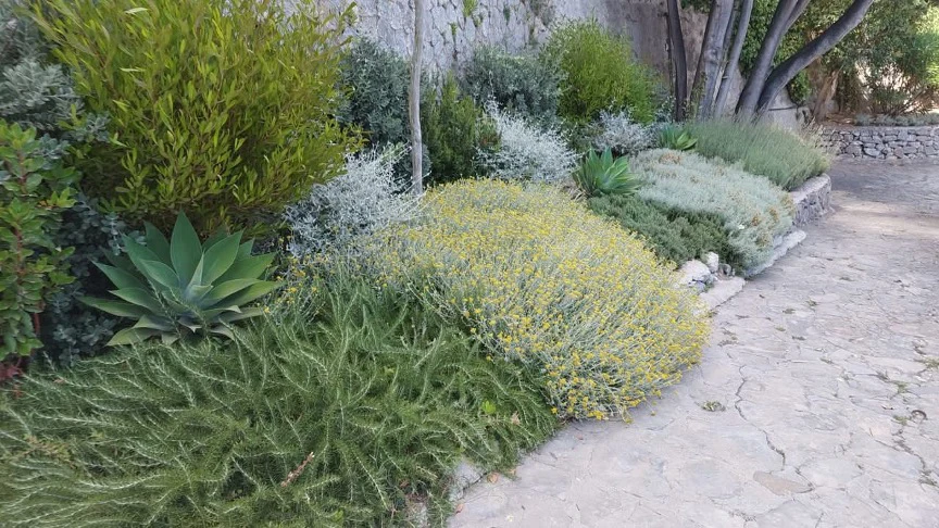 giardini cura annuale